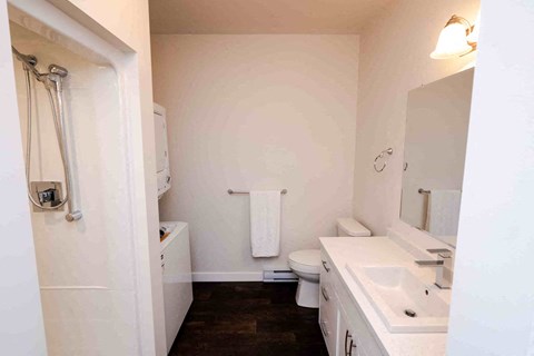 a bathroom with a sink toilet and a mirror