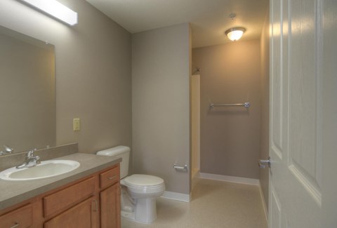 a bathroom with a sink toilet and a shower