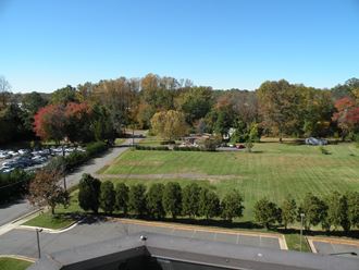 the view of the park from the roof of a building
