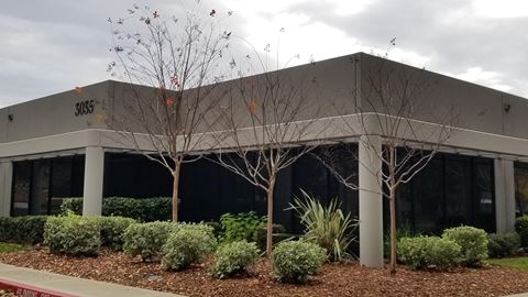 an office building with three trees in front of it