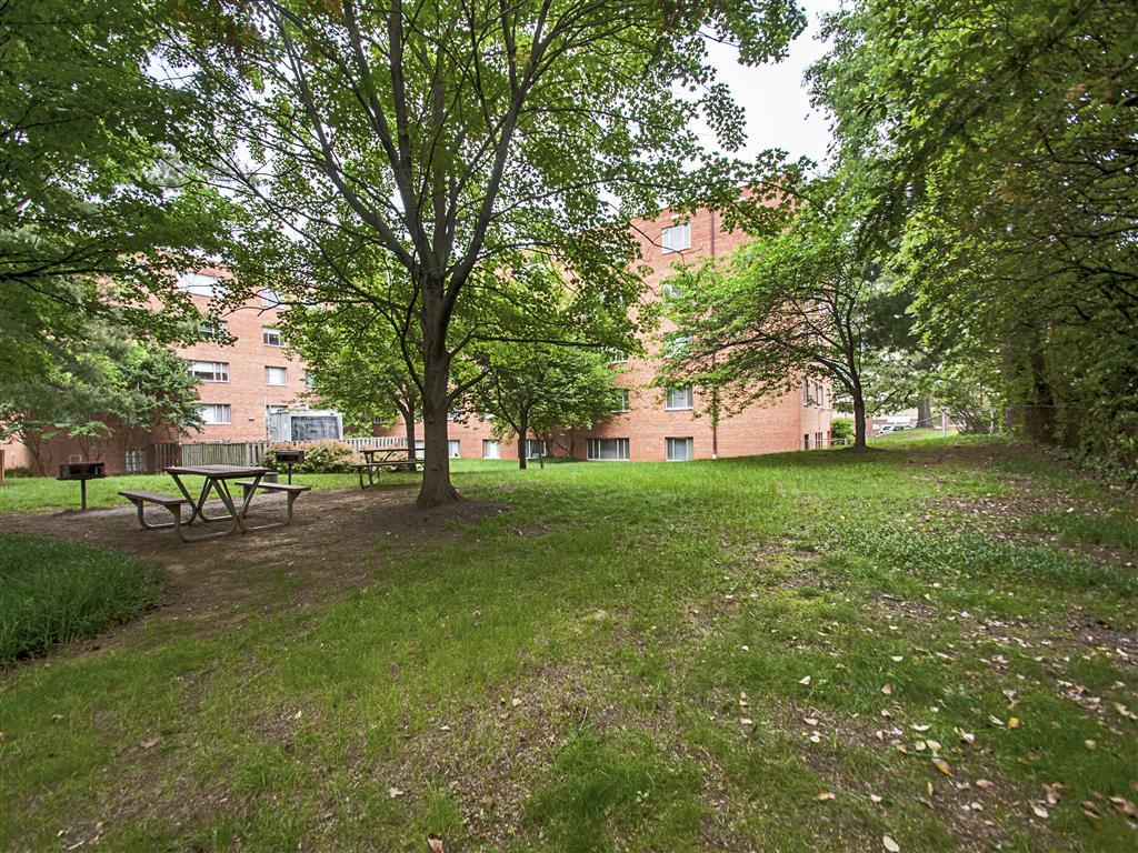Barbecue at Shawnee Apartments, Virginia, 22204