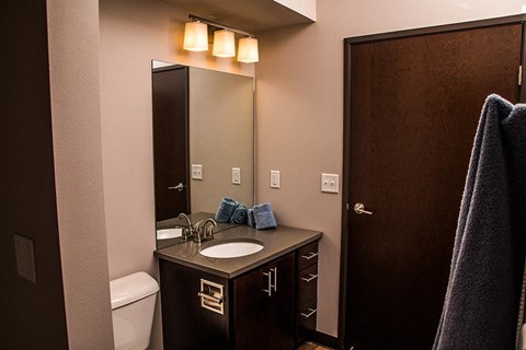 a bathroom with a sink and a toilet and a mirror