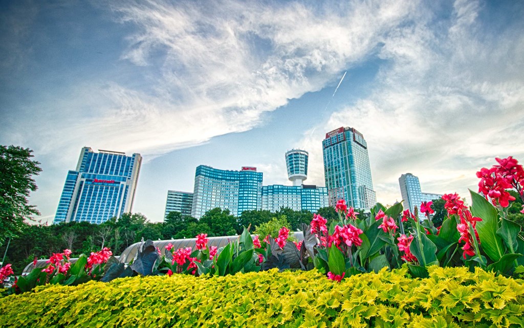 a park with flowers and a city in the background