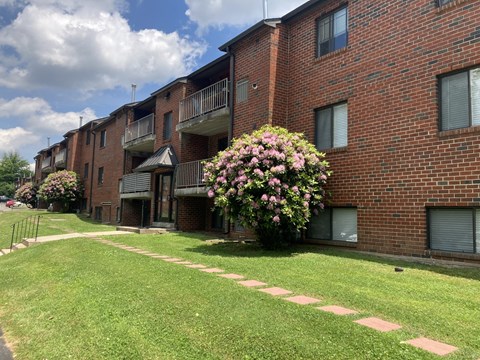 1100 Albert Road 1-2 Beds Apartment for Rent - Photo Gallery 5