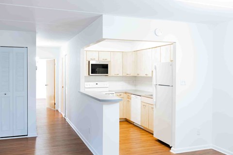 A white kitchen with wooden floors and white walls.
