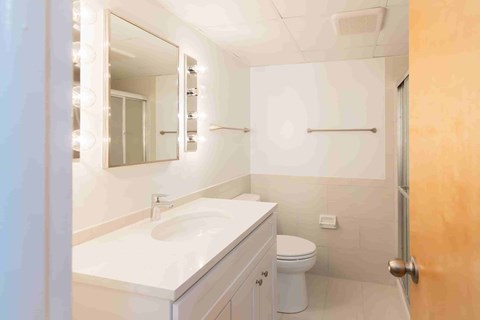 A bathroom with a sink, toilet, and mirror.