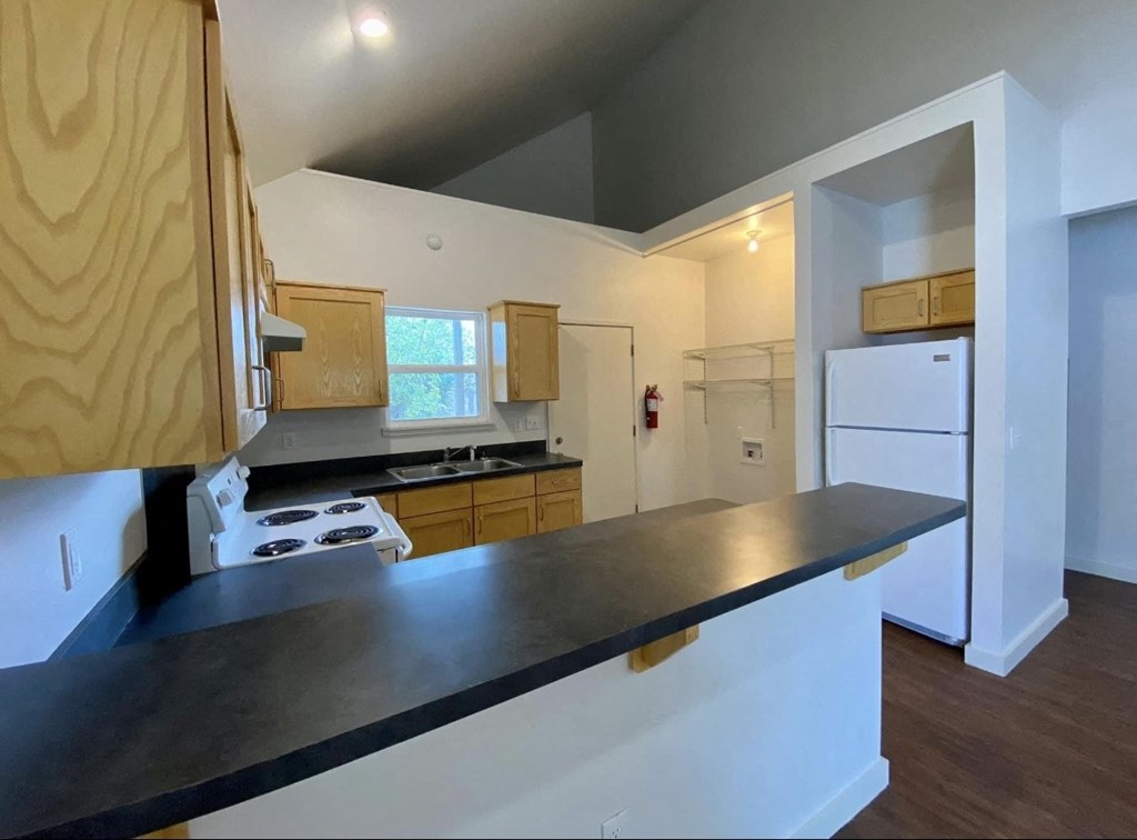 a kitchen with a counter top and a stove and a refrigerator