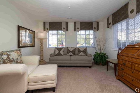 A living room with a couch, chair, and a potted plant.