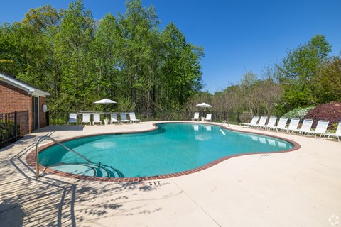 A large outdoor swimming pool surrounded by trees and lounge chairs.