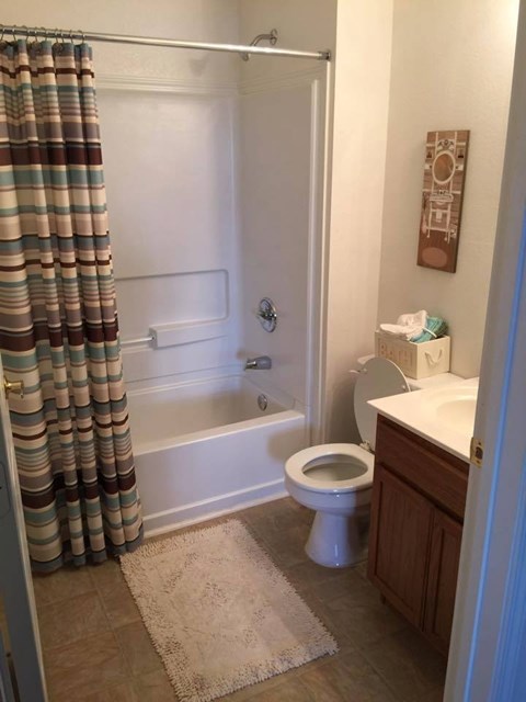 A bathroom with a toilet, sink, and shower.