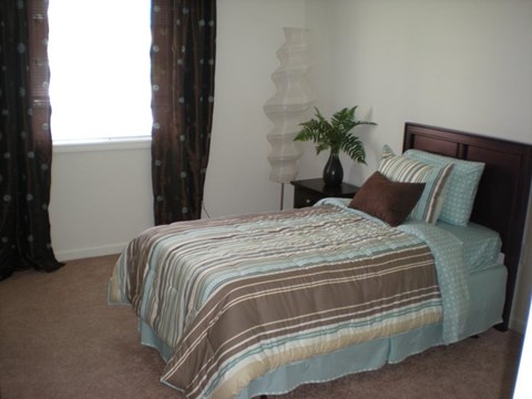 A bed with a blue and brown striped comforter sits in a room with a window and a plant.