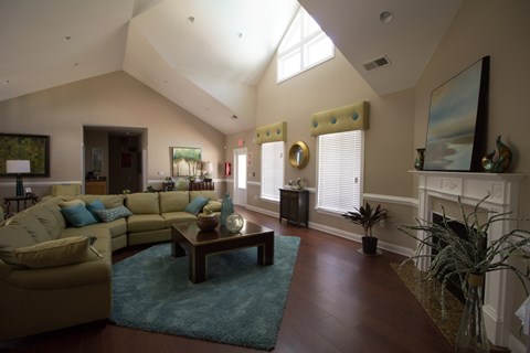 A living room with a blue rug and a fireplace.