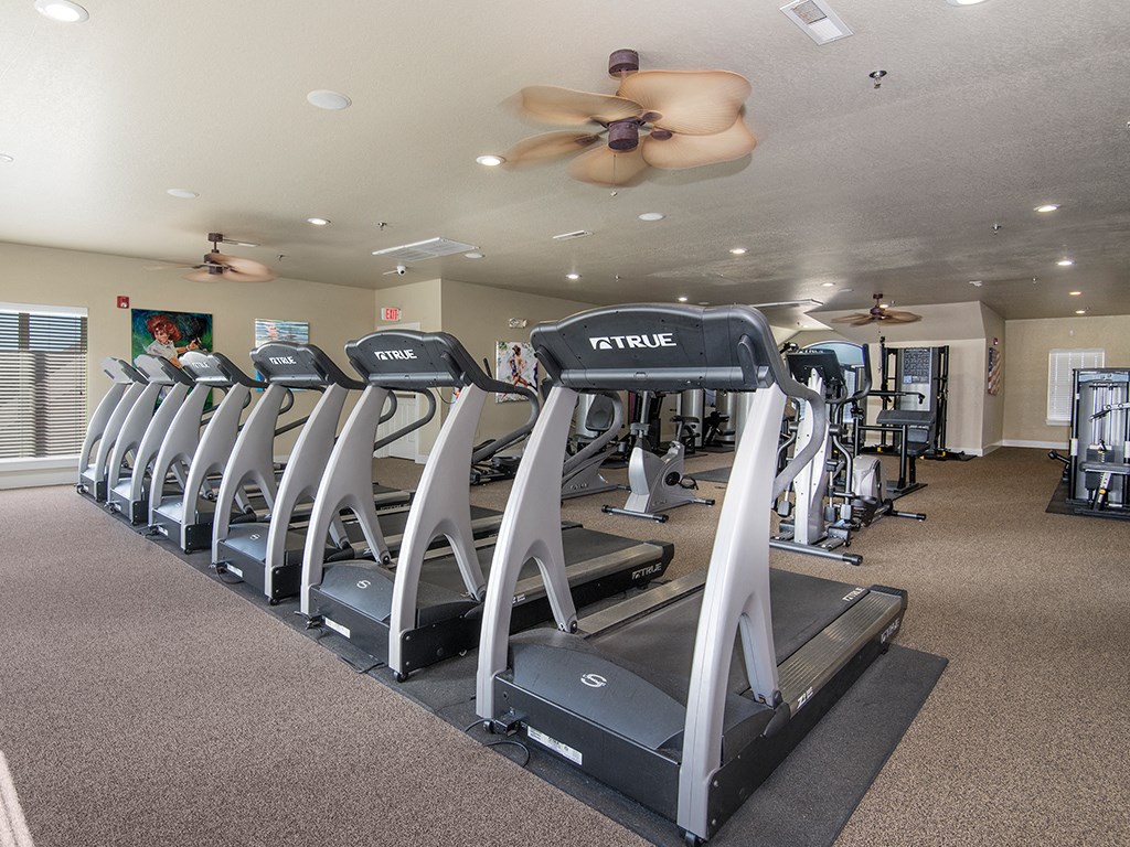 the gym is equipped with state of the art cardio equipment