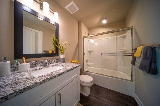 a bathroom with a sink toilet and a shower