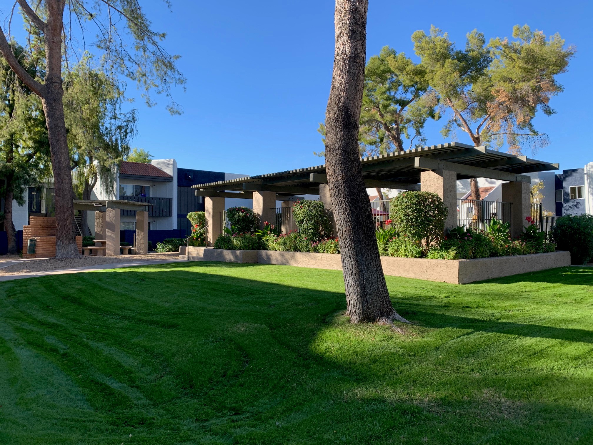 A tree stands in a grassy area in front of a building.