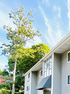 Exterior of Building with Plants - Photo Gallery 4