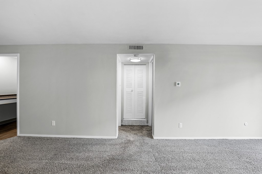 A white door is open in a room with a carpet.