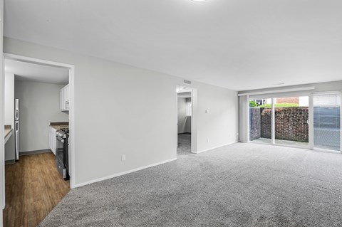 A spacious living room with a grey carpet and a view of a fenced area outside the window.