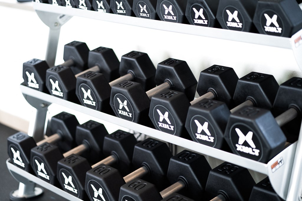 a row of black weights on a shelf