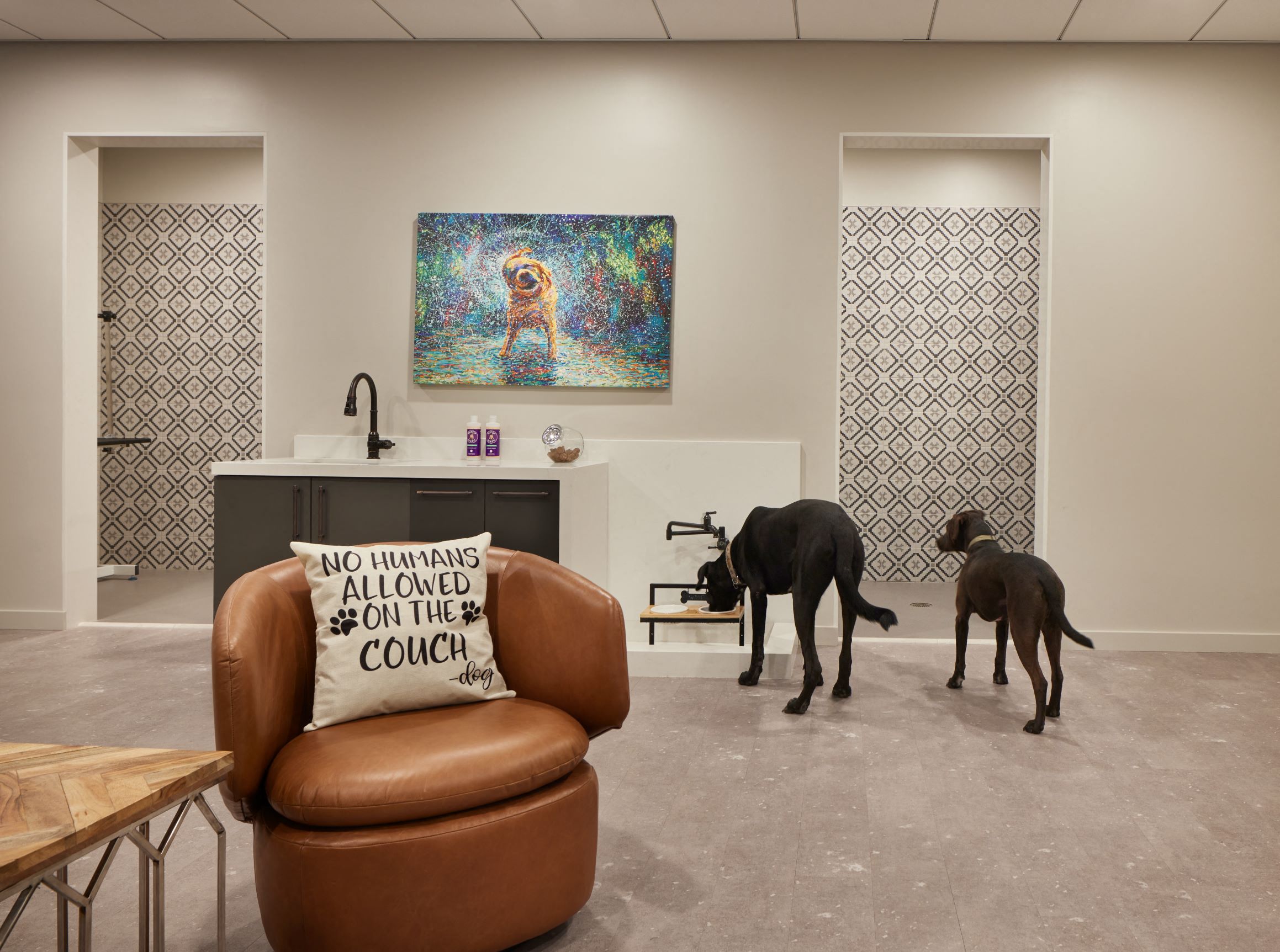 huge indoor pet retreat with plenty of room to play, grooming stations and real sod relief area