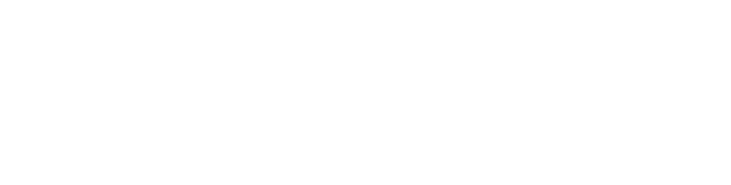 Revel Eagle logo