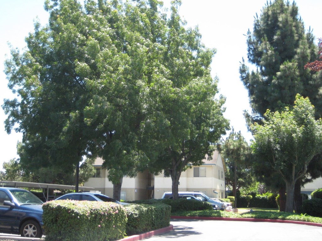 a parking lot with cars and trees in front of a building