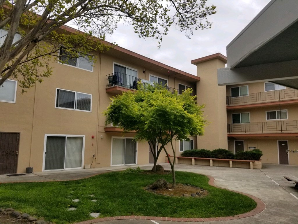 an apartment building with a courtyard and a tree in front of it