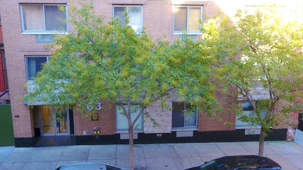 a brick building with trees in front of it