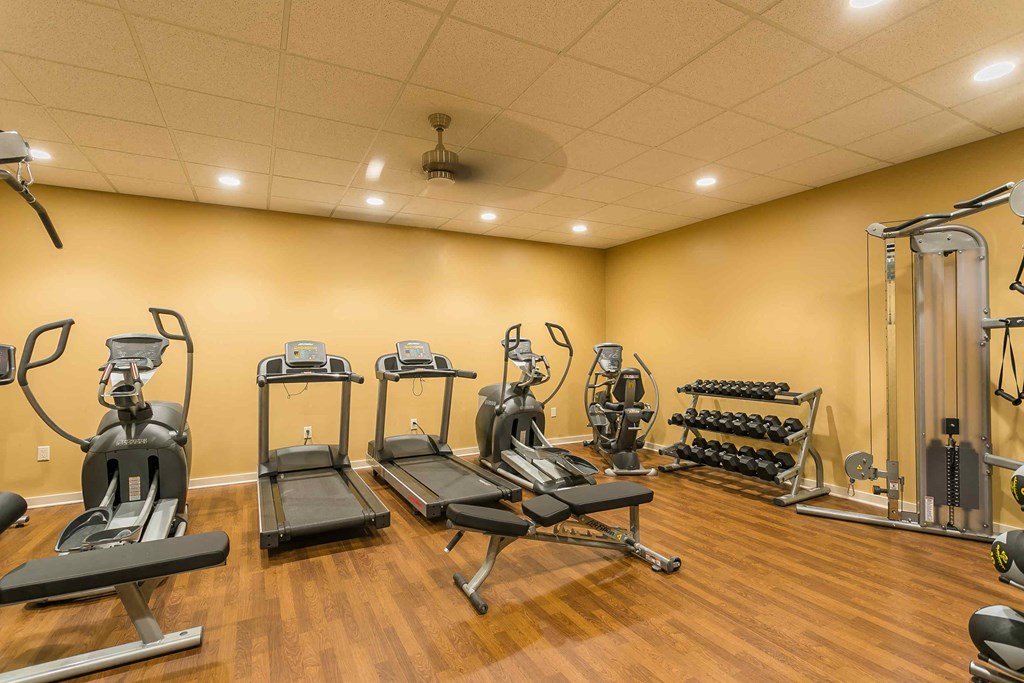 a gym with cardio equipment and weights on a wooden floor