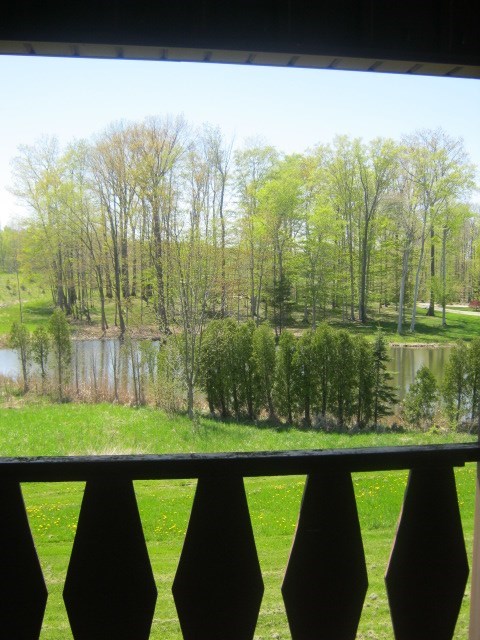 a view of a pond and trees from a balcony