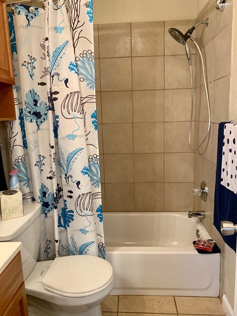 a bathroom with a shower and a toilet and a shower curtain