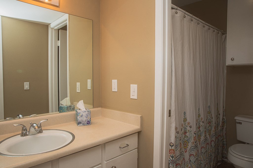 a bathroom with a sink and a shower and a mirror