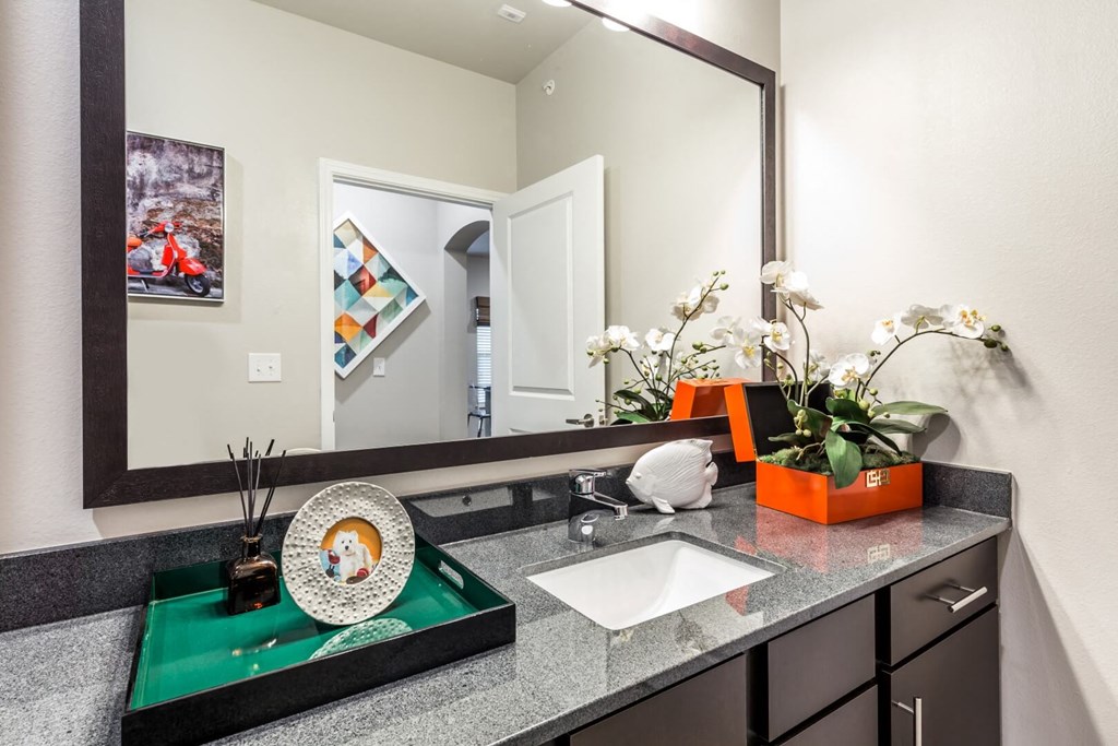 Bathroom with Large Mirror and One Sink at Legacy Creekside Apartments, Texas, 78251
