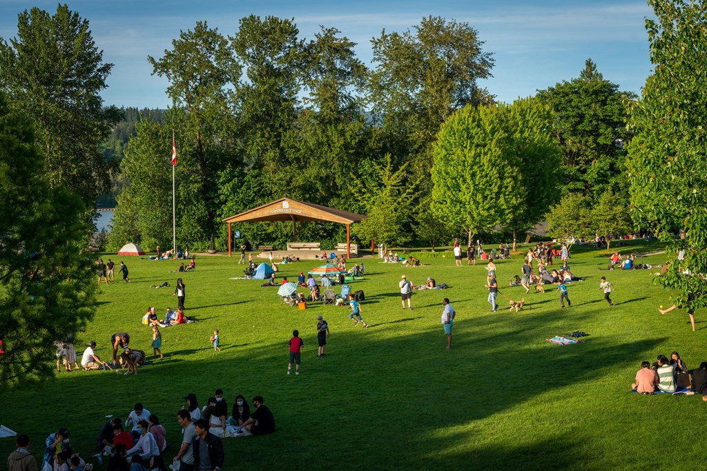 a large group of people sitting in a park