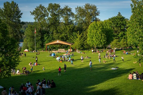 a large group of people sitting in a park