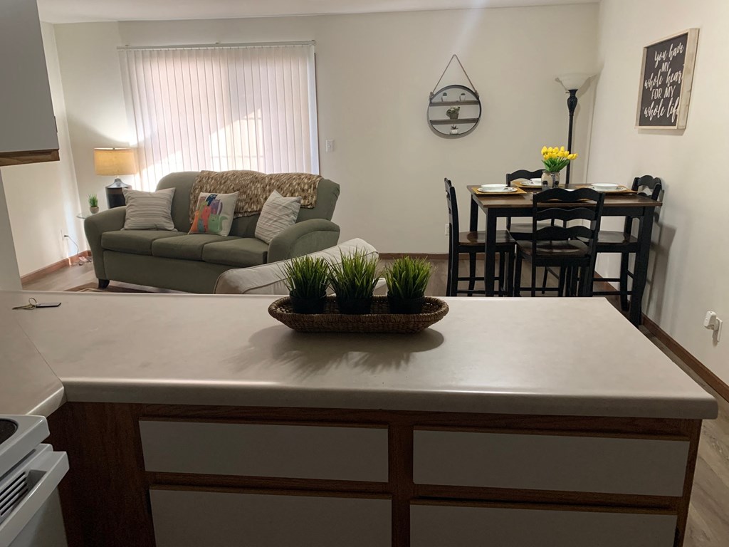 a kitchen with a counter top and a living room with a couch