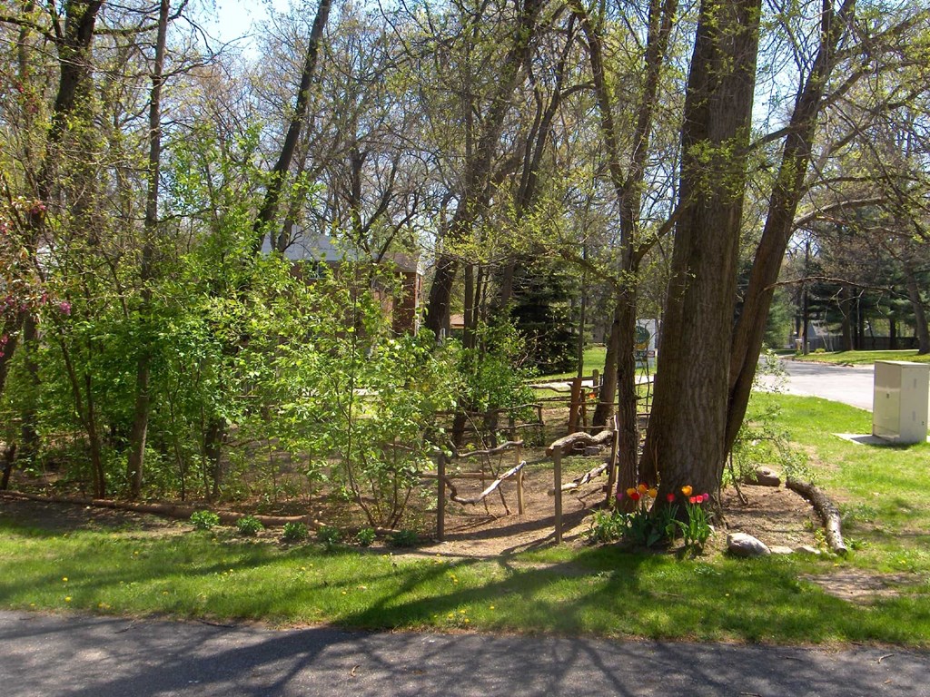 a park with a tree and some grass and flowers