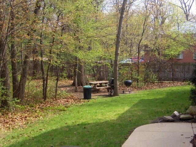 a park with a picnic table in the grass