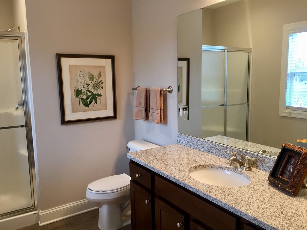 a bathroom with a sink and a toilet and a shower