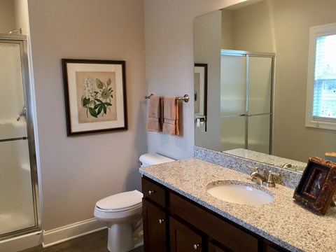 a bathroom with a sink and a toilet and a shower