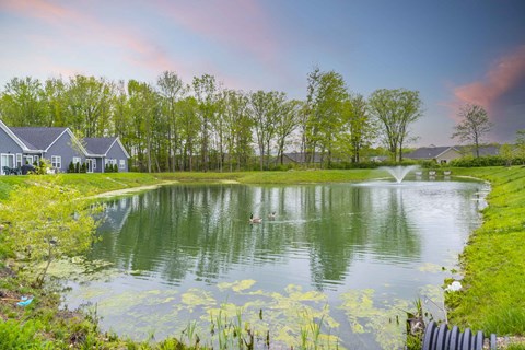 a pond with a house and trees in the background