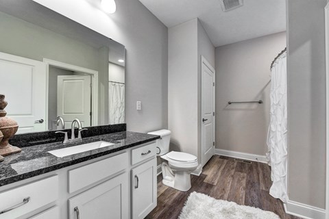 a bathroom with a sink and a toilet