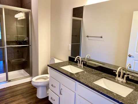 a bathroom with a sink and a toilet and a shower