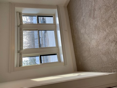 A window with white trim and a view of a tree outside.