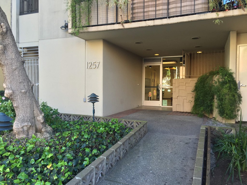 the entrance to a building with a tree in front of it