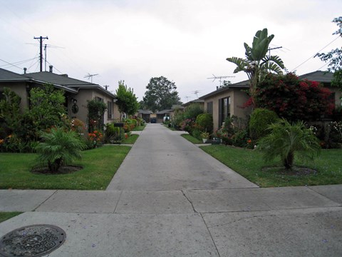 A residential street with houses on both sides and a sidewalk in the middle.