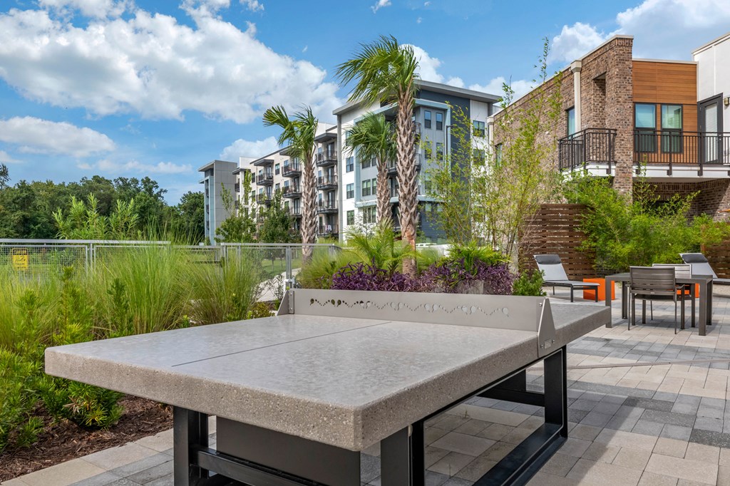 Outdoor Entertainment at JTB Apartments, Jacksonville, 32256