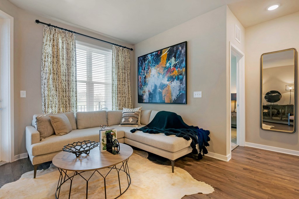 Living room couch at JTB Apartments, Jacksonville, 32256