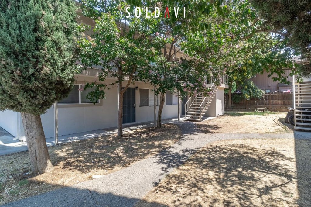A tree is in front of a building with the name SOLDAVI on it.
