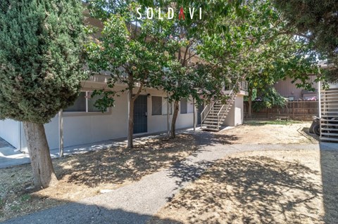A tree is in front of a building with the name SOLDAVI on it.